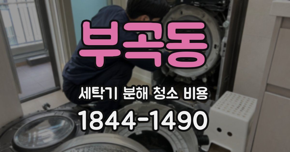 부곡동 세탁기 분해 청소 비용