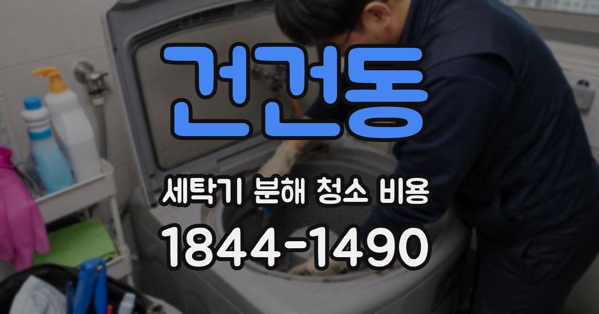 건건동 세탁기 분해 청소 비용