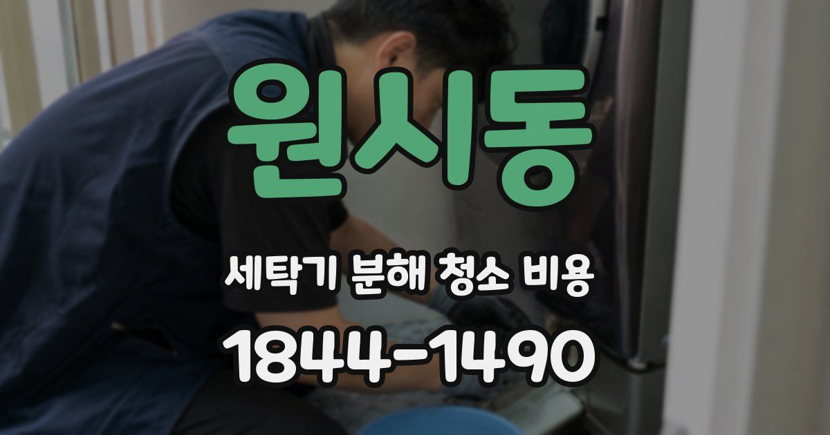 원시동 세탁기 분해 청소 비용