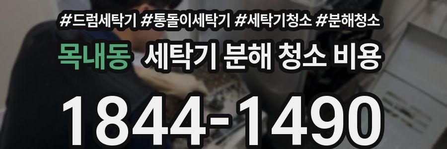 목내동 세탁기 분해 청소 비용