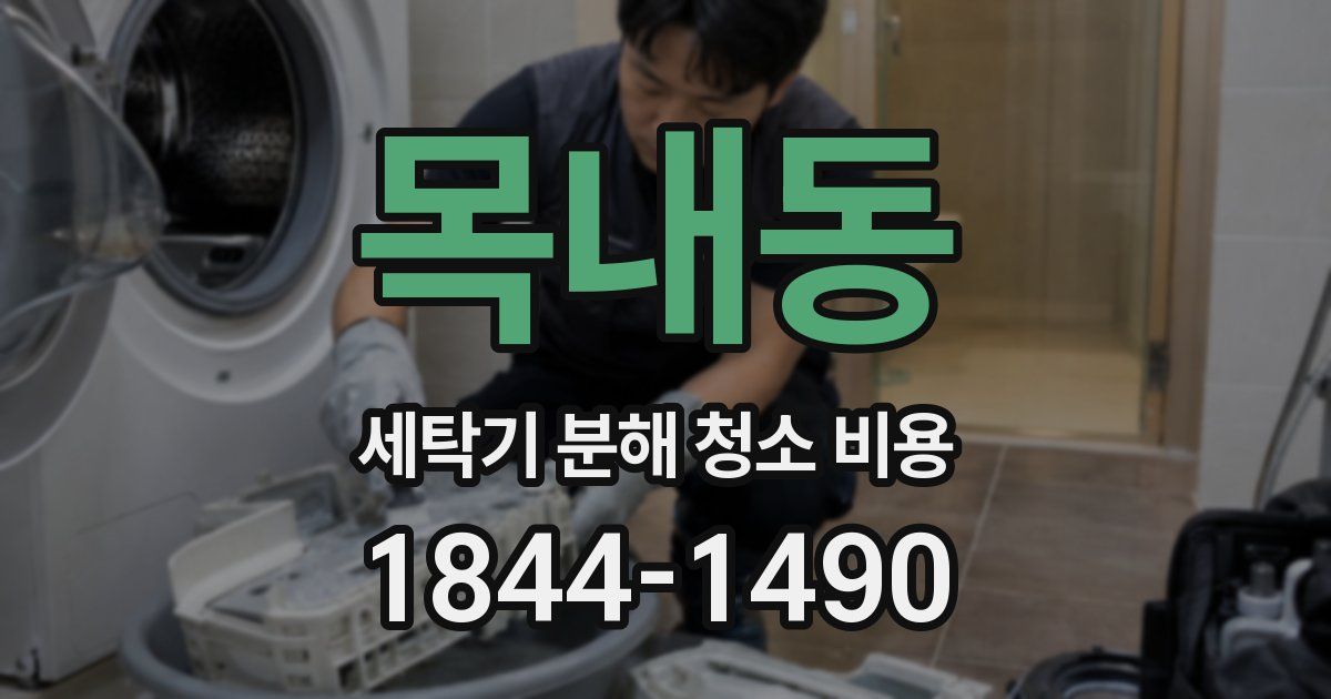 목내동 세탁기 분해 청소 비용