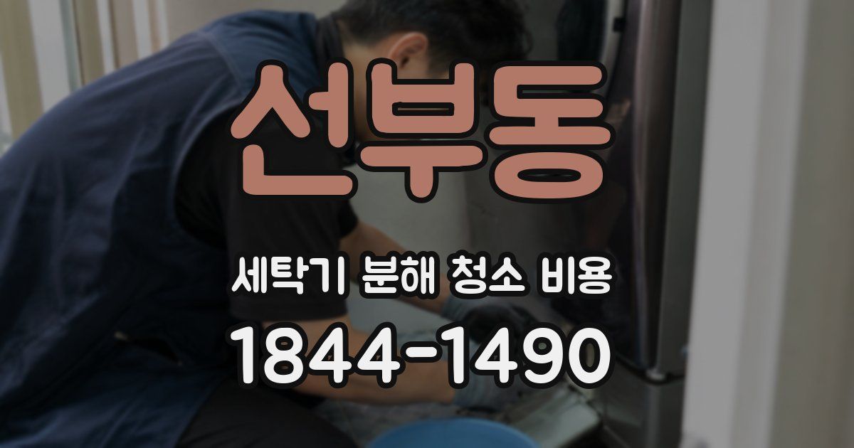 선부동 세탁기 분해 청소 비용