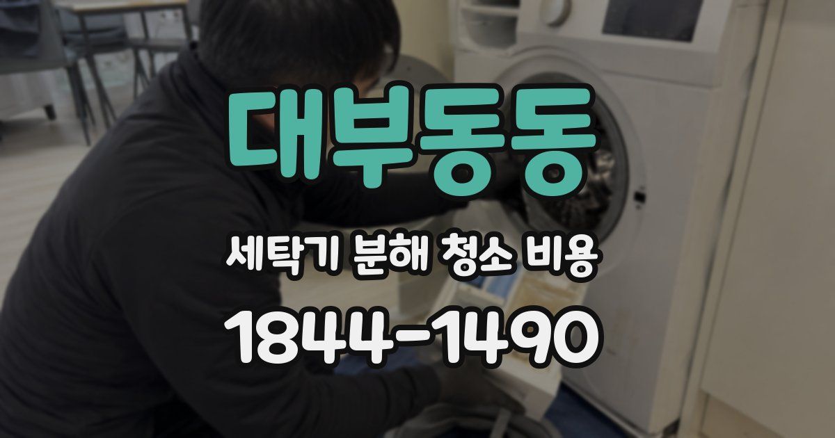 대부동동 세탁기 분해 청소 비용