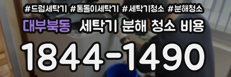 대부북동 세탁기 분해 청소 비용
