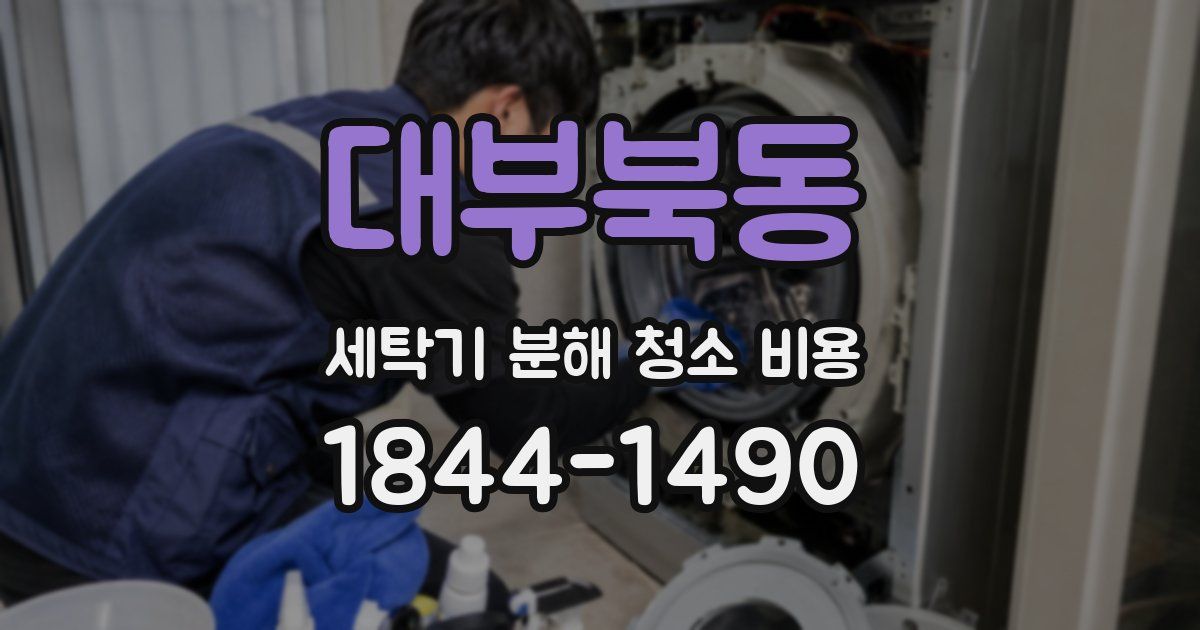 대부북동 세탁기 분해 청소 비용