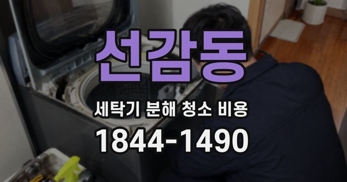 선감동 세탁기 분해 청소 비용