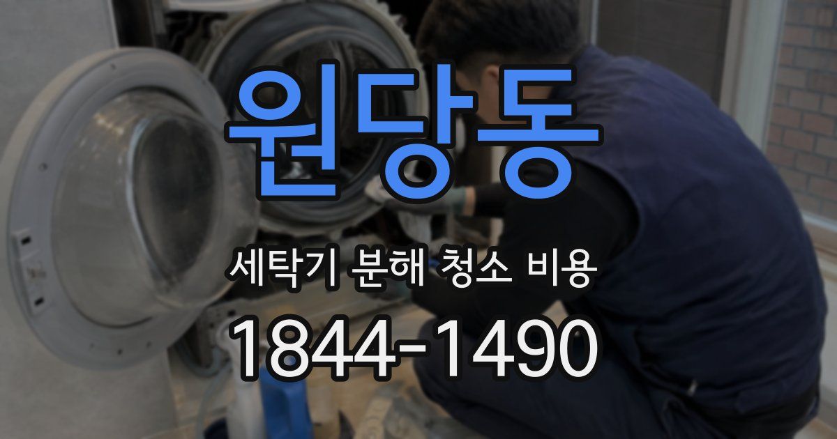 원당동 세탁기 분해 청소 비용