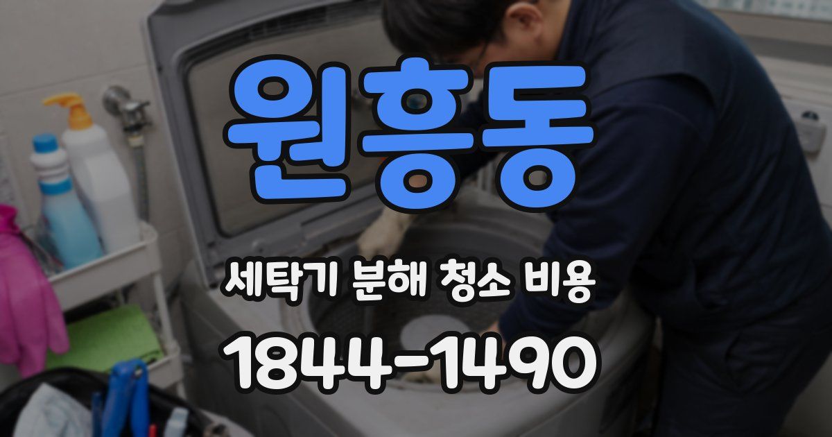 원흥동 세탁기 분해 청소 비용