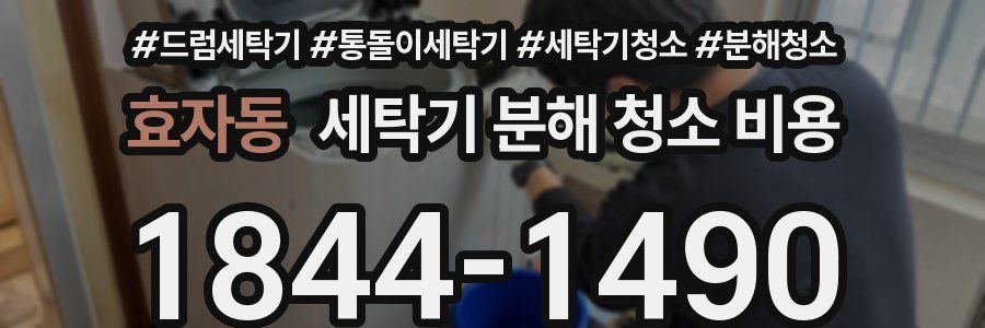 효자동 세탁기 분해 청소 비용
