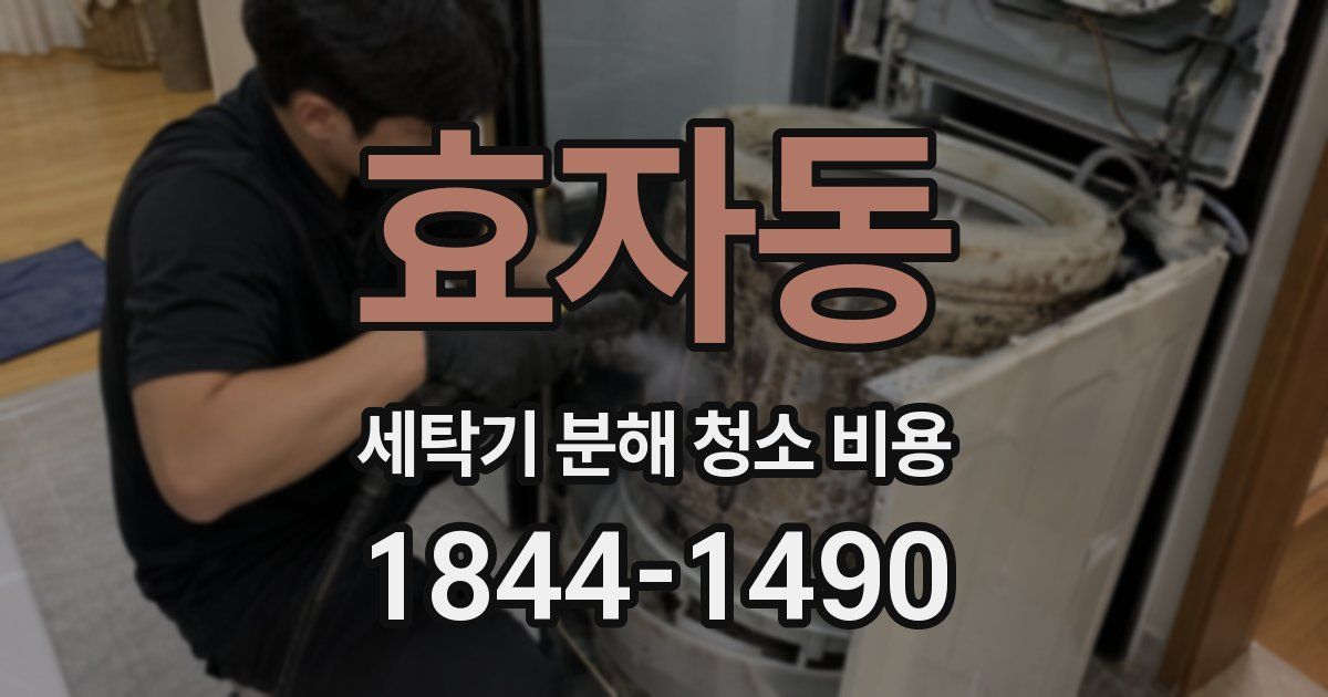 효자동 세탁기 분해 청소 비용