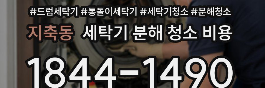 지축동 세탁기 분해 청소 비용