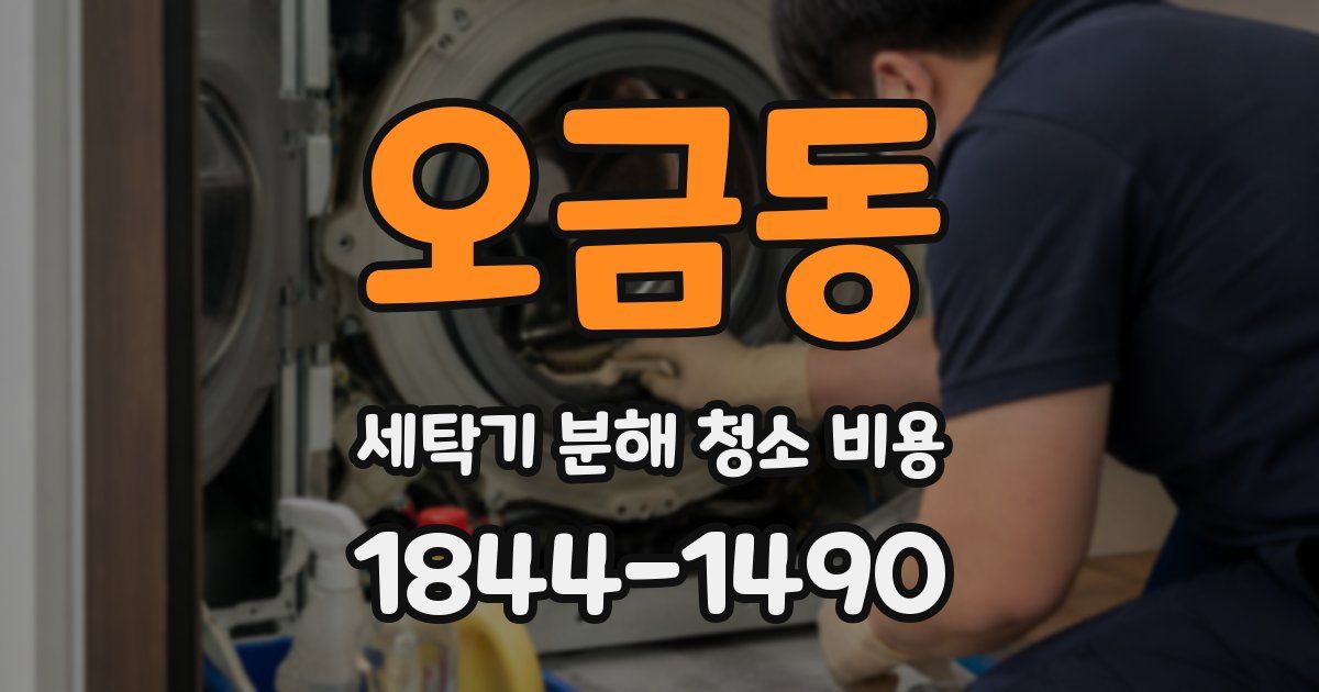 오금동 세탁기 분해 청소 비용