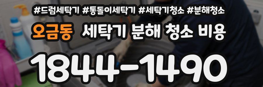 오금동 세탁기 분해 청소 비용