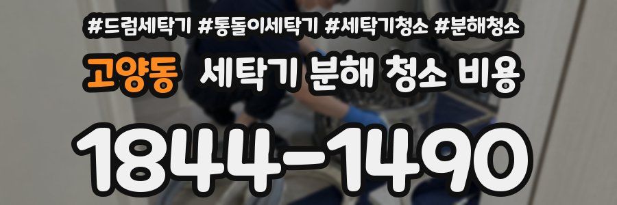 고양동 세탁기 분해 청소 비용