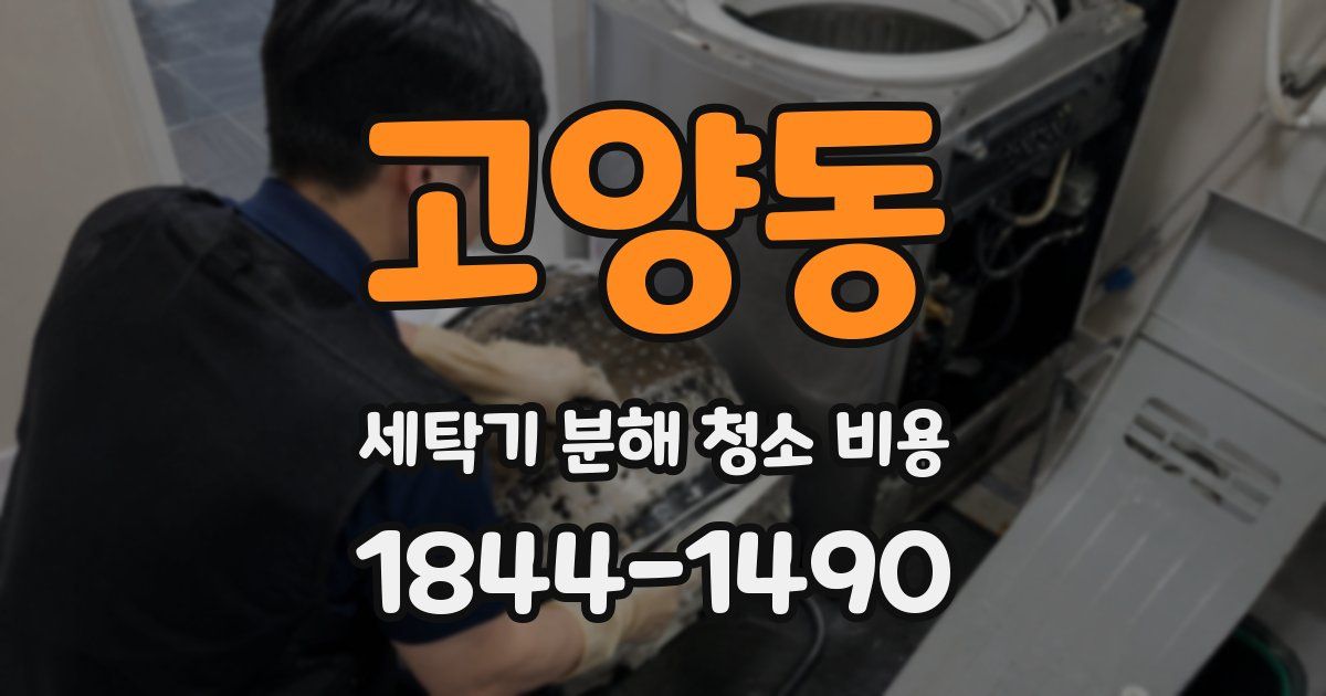 고양동 세탁기 분해 청소 비용