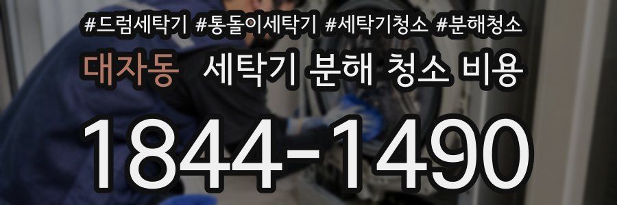 대자동 세탁기 분해 청소 비용