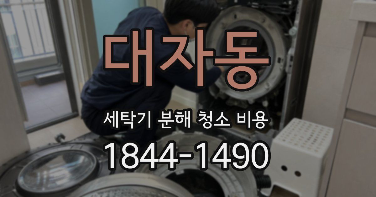 대자동 세탁기 분해 청소 비용