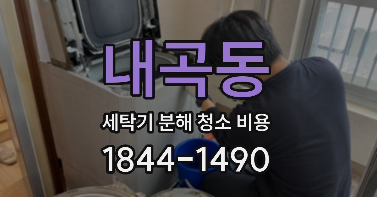 내곡동 세탁기 분해 청소 비용