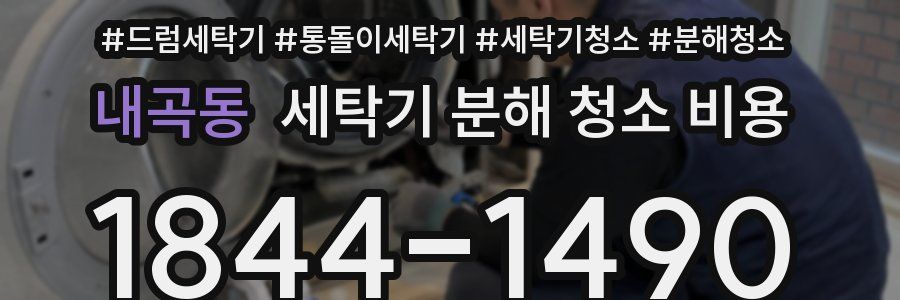 내곡동 세탁기 분해 청소 비용