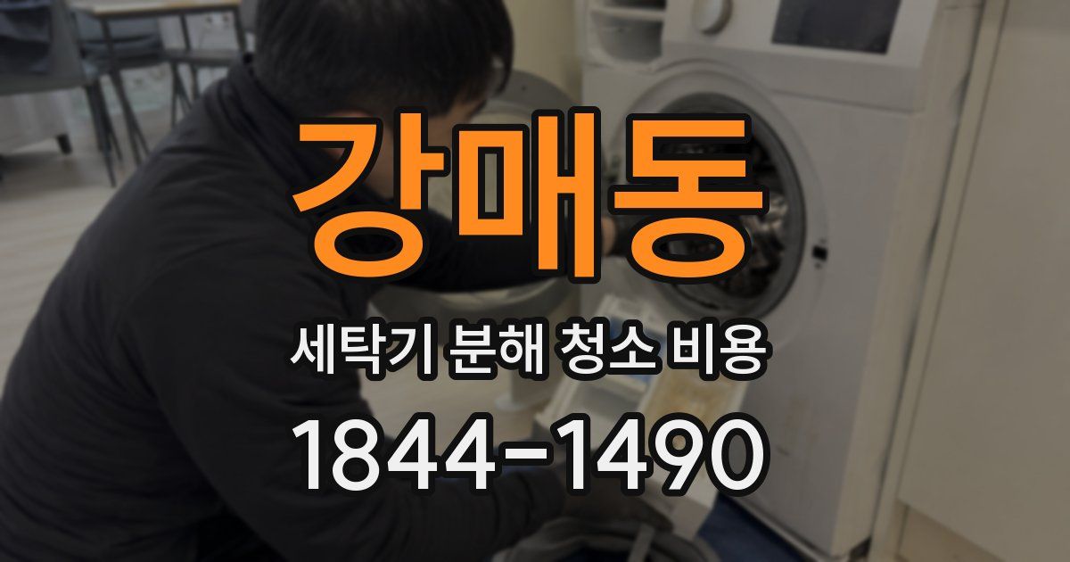 강매동 세탁기 분해 청소 비용