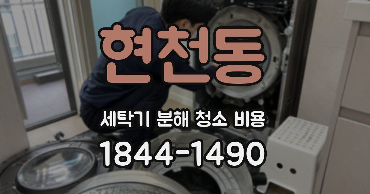 현천동 세탁기 분해 청소 비용