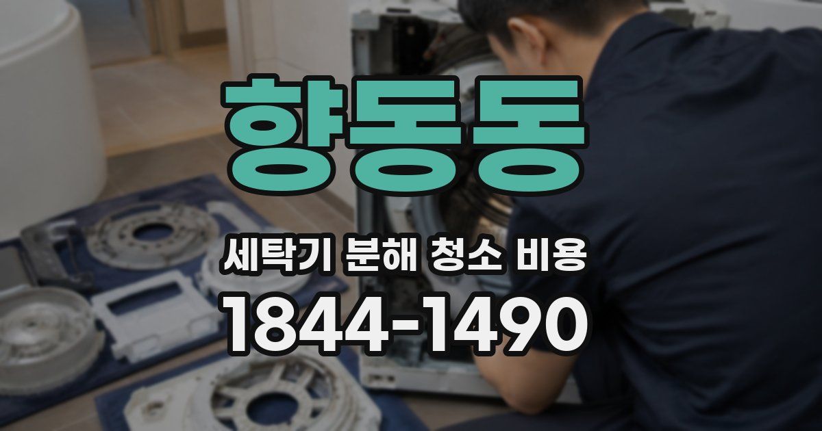 향동동 세탁기 분해 청소 비용
