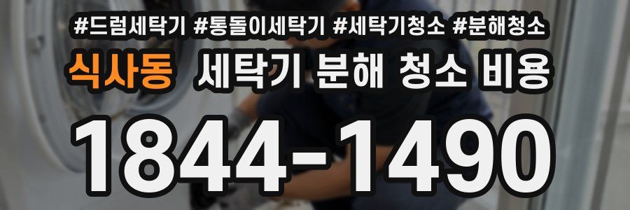 식사동 세탁기 분해 청소 비용