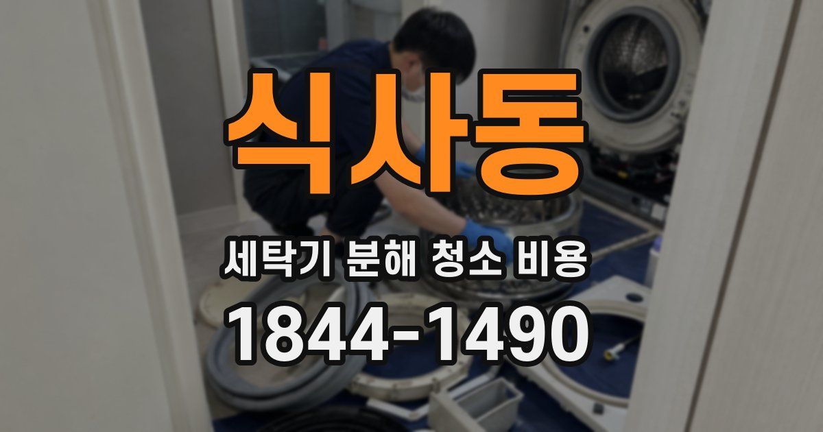 식사동 세탁기 분해 청소 비용