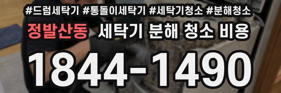 정발산동 세탁기 분해 청소 비용