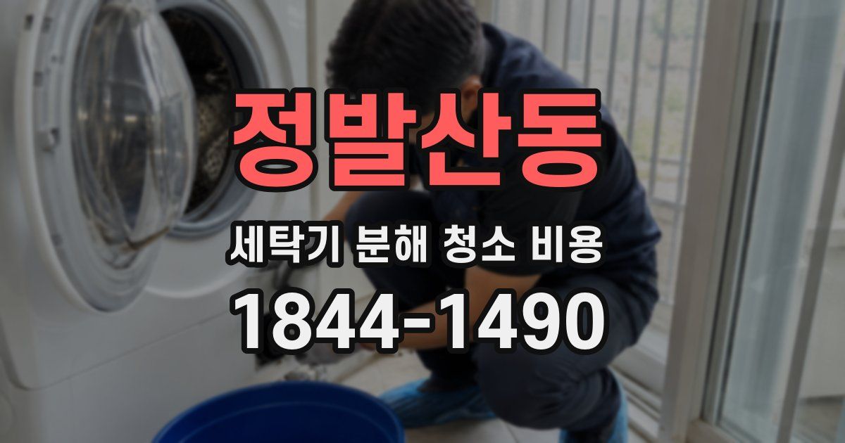 정발산동 세탁기 분해 청소 비용