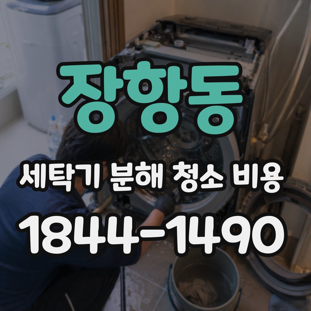 장항동 세탁기 분해 청소 비용