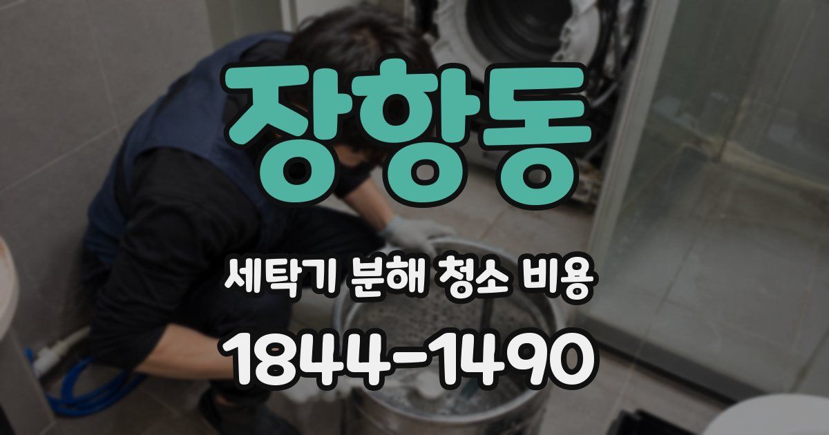 장항동 세탁기 분해 청소 비용