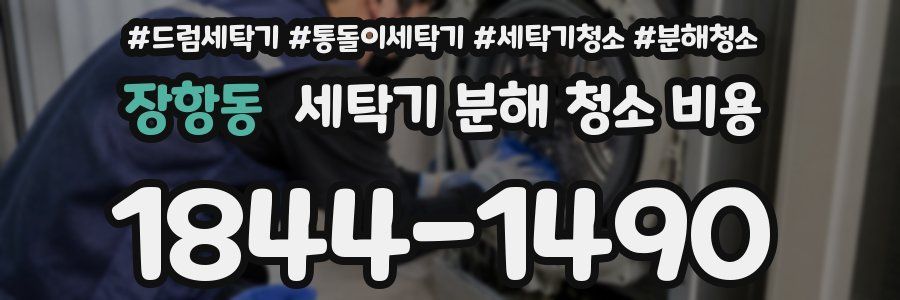 장항동 세탁기 분해 청소 비용
