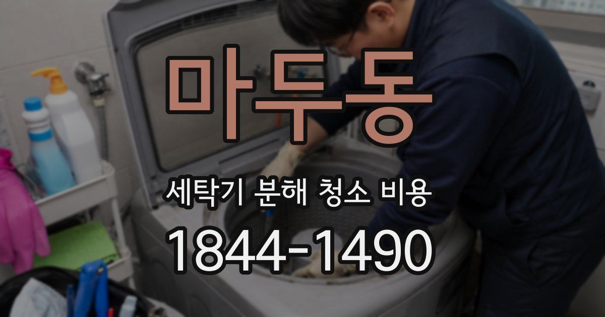 마두동 세탁기 분해 청소 비용