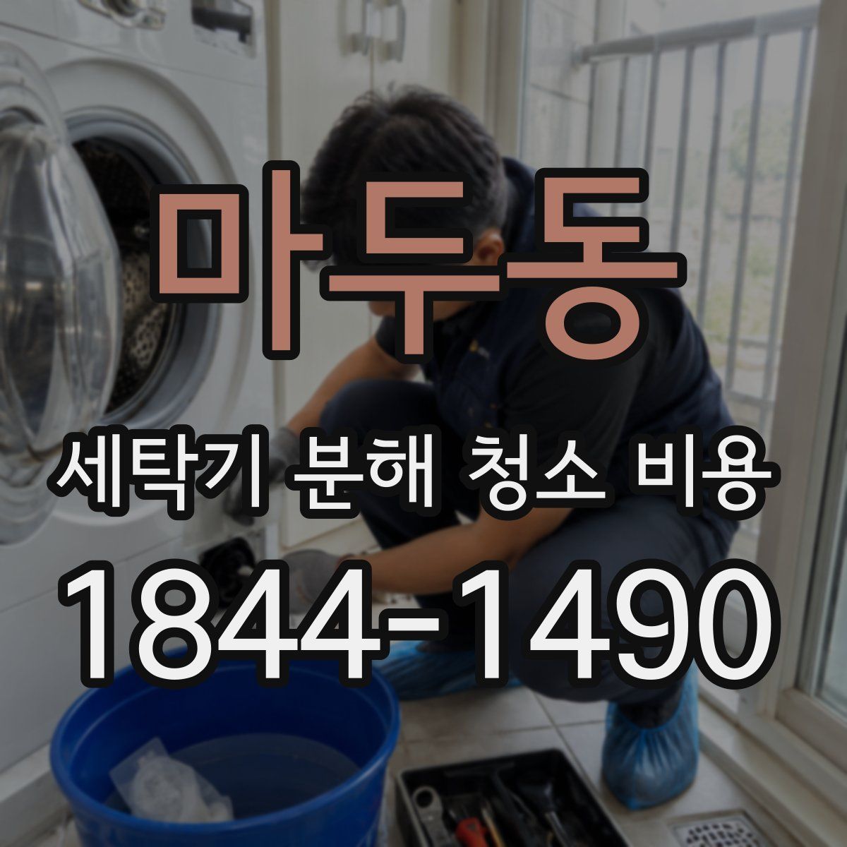 마두동 세탁기 분해 청소 비용