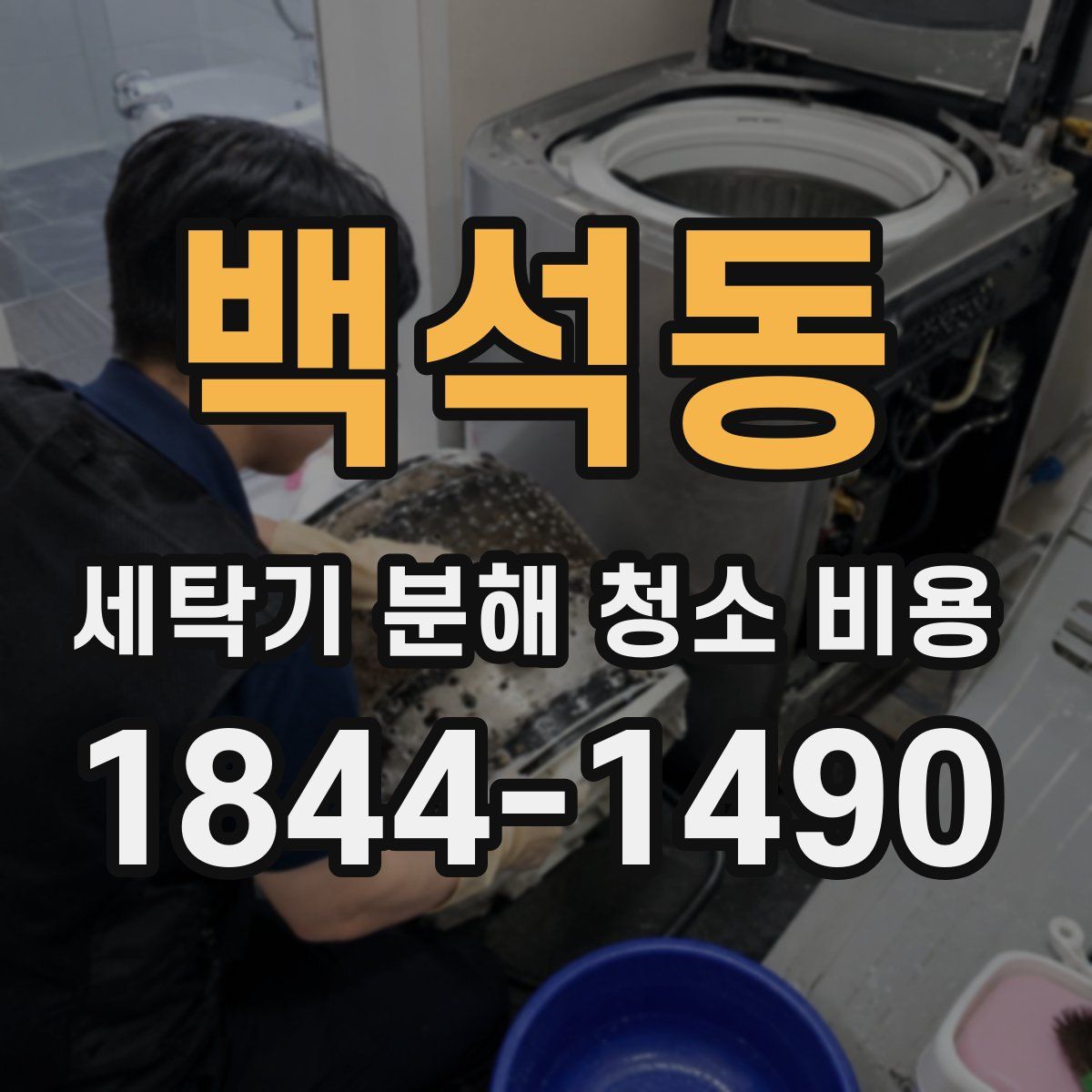 백석동 세탁기 분해 청소 비용