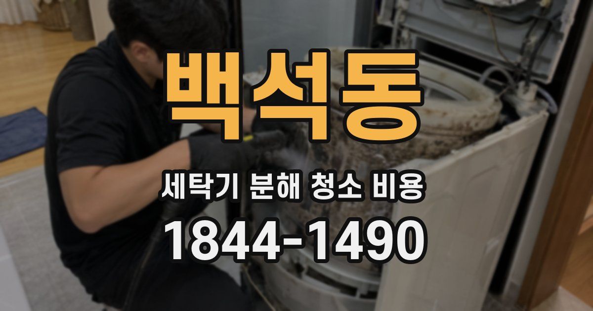 백석동 세탁기 분해 청소 비용