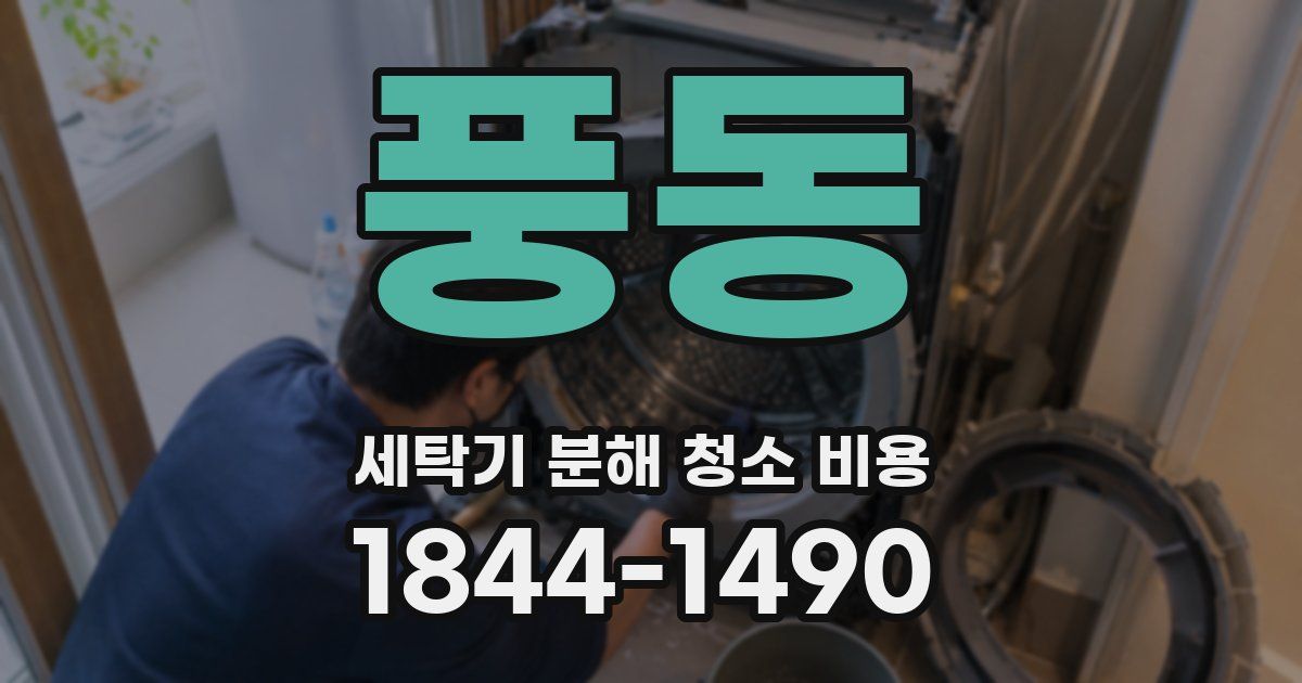 풍동 세탁기 분해 청소 비용
