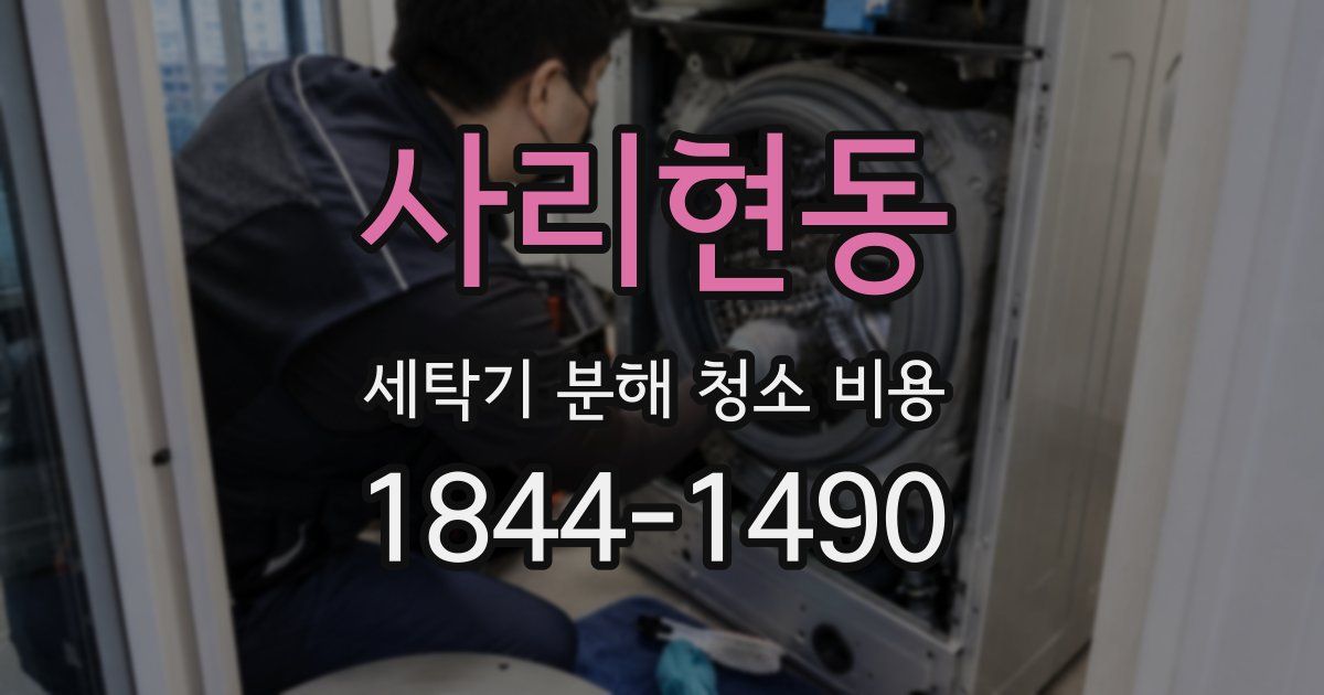 사리현동 세탁기 분해 청소 비용