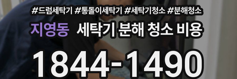 지영동 세탁기 분해 청소 비용