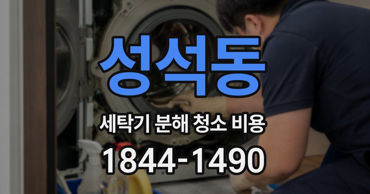 성석동 세탁기 분해 청소 비용