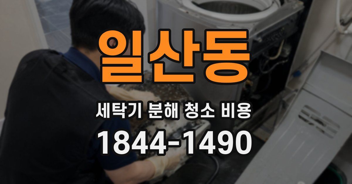 일산동 세탁기 분해 청소 비용