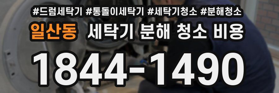 일산동 세탁기 분해 청소 비용