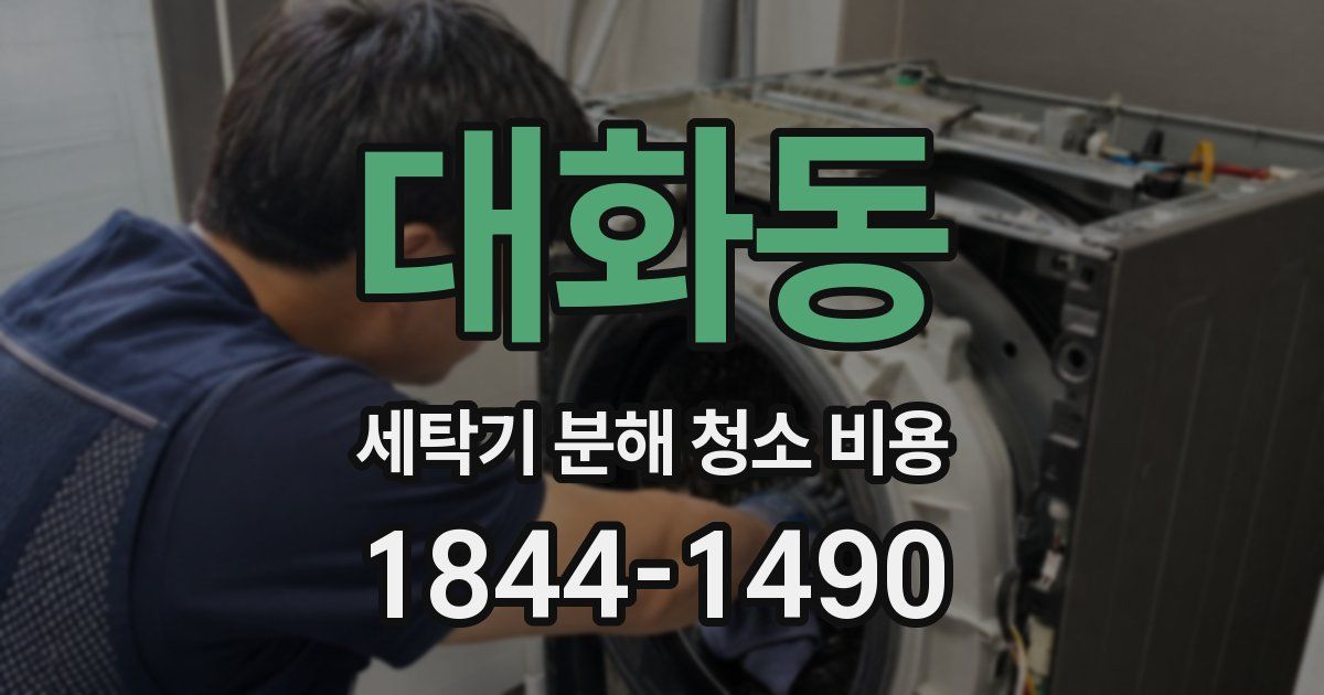대화동 세탁기 분해 청소 비용