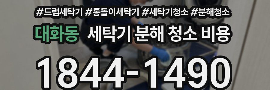 대화동 세탁기 분해 청소 비용