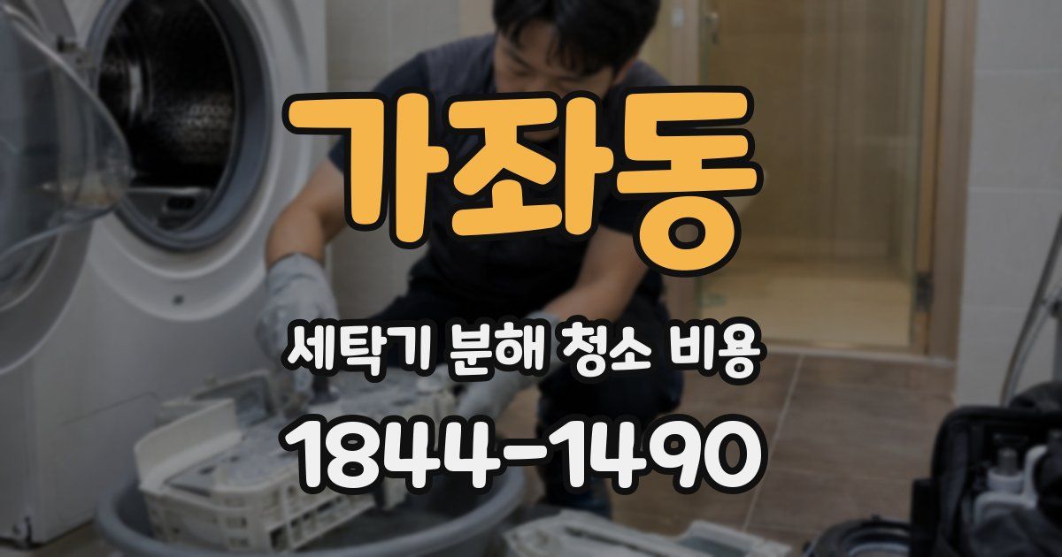 가좌동 세탁기 분해 청소 비용