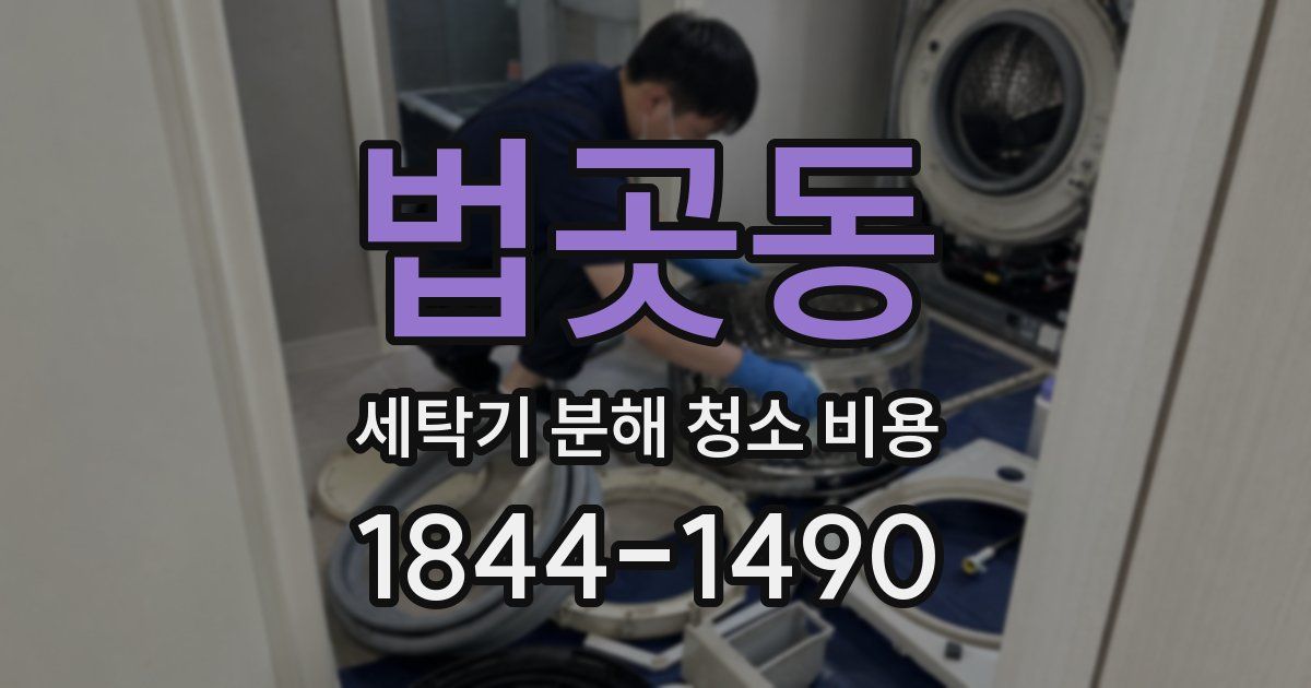법곳동 세탁기 분해 청소 비용