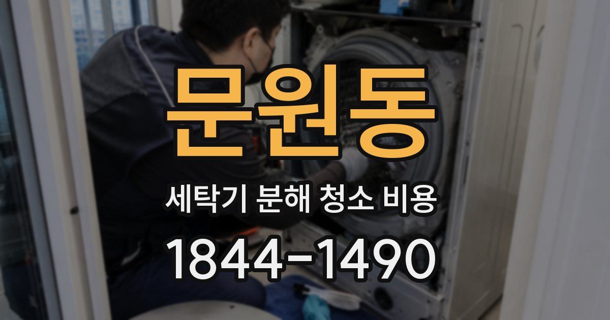 문원동 세탁기 분해 청소 비용