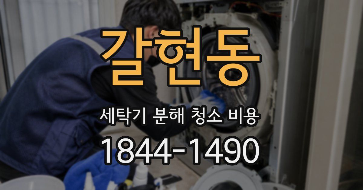 갈현동 세탁기 분해 청소 비용