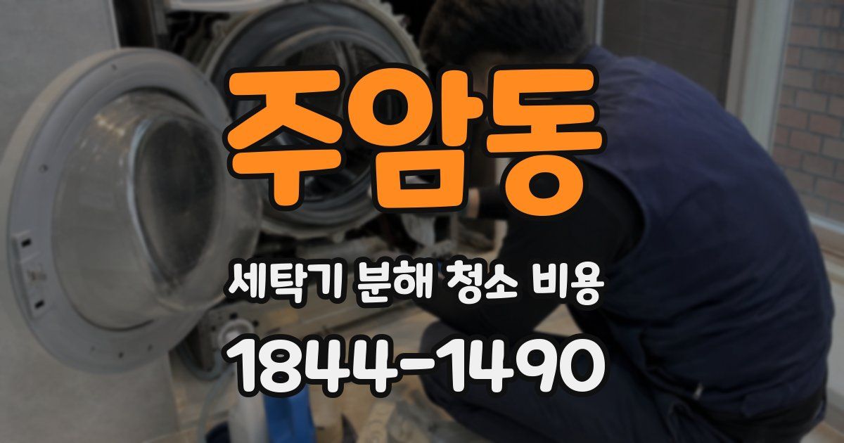 주암동 세탁기 분해 청소 비용
